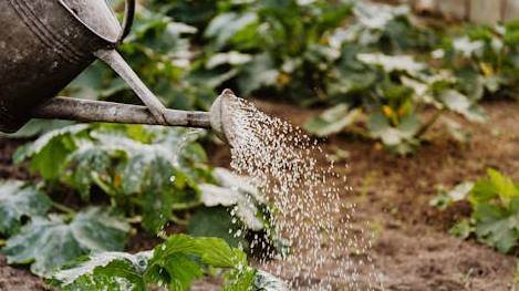 Rüyada Akar Su ile Bahçe Sulamak