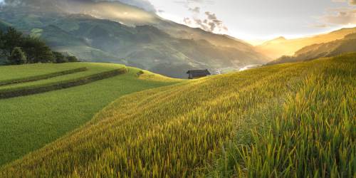 Rüyada Arsa Satın Almak Ne Demek?