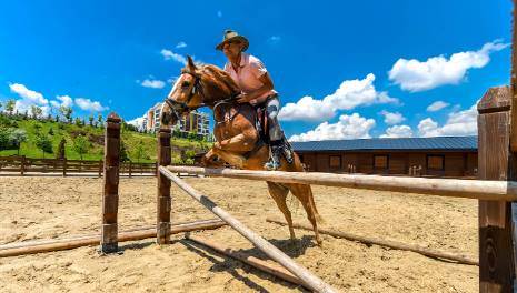 Rüyada At Çiftliği Görmek Ne Anlama Gelir?