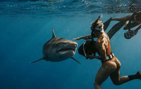 Rüyada Balıklarla Yüzmek Ne Anlama Gelir? 