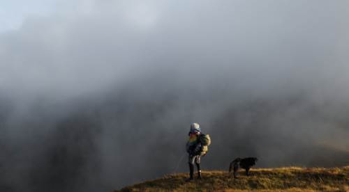 Rüyada Başkalarının Yanında Tuvaletini Yapmanın Anlamı Anlamı ve Yorumları 