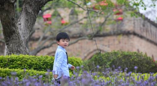 Rüyada Başkasının Çocuğunun Kakasını Yaptığını Görmenin Anlamı Nedir?
