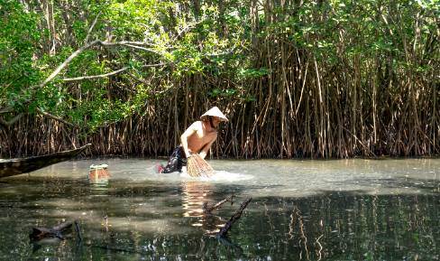 Rüyada Bataklığa Girip Çıktığını Görmek Ne Demek?