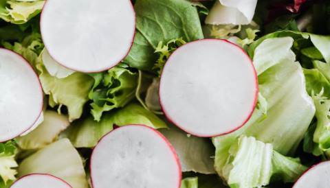 Rüyada Beyaz Turp Görmek Ne Demek?