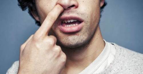 Rüyada Burun Karıştırmak Ne Anlama Gelir?