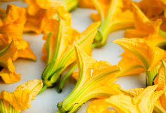 Rüyada Kabak Çiçeği Görmek (Rüya Tabiri)