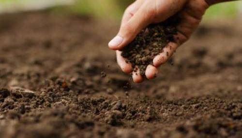 Rüyada Topraktan Su Çıkması (Diyanet)