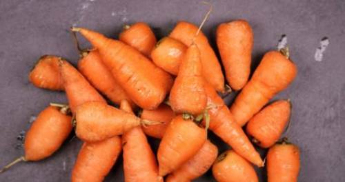 Rüyada Turuncu Havuç Görmek Ne Demek?