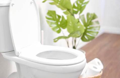 Rüyada Tuvalette İnsan Dışkısı Görmek (İmam Nablusi)