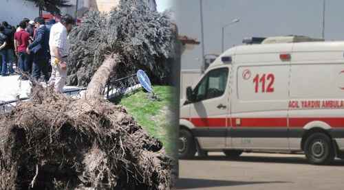 Rüzgar ağacı işçinin üzerine devirdi!