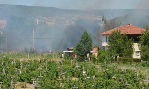 Rüzgarla büyüyen yangına ekiplerden hızlı müdahale