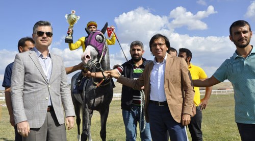 Safkan atlar Mahmudiye'de piste çıktı