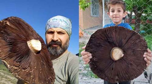 Sağanak yağmurların ardından ortaya çıktı! Devasa boyutta...