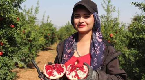 Sağlığa faydası sayısız ancak fiyatı 2 kat arttı!