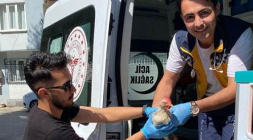 Sağlık çalışanları sıra dışı olaya müdahale etti 