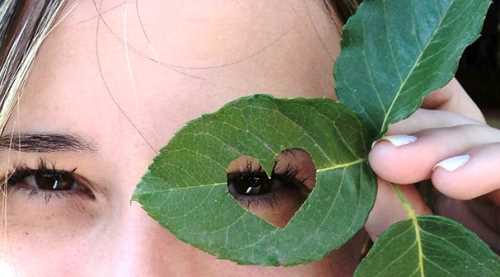 Sağlıklı beslen hareketli yaşa kalbini koru