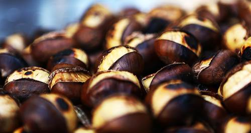 Sahte kestane nasıl anlaşılır: Büyük tehlike!