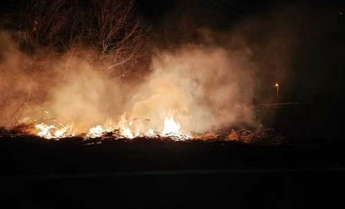 Sakarya'da gece yarısı çıkan orman yangınında son durum!