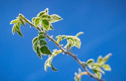 Sakarya'da hava durumu nasıl olacak? (12 Aralık 2024)
