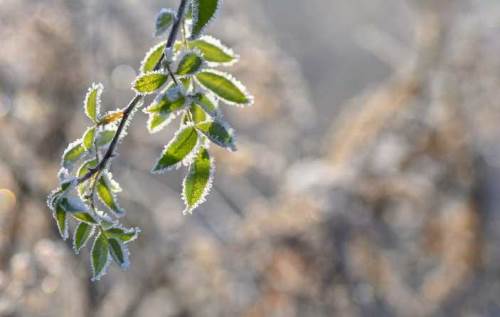 Sakarya'da hava durumu nasıl olacak? (12 Kasım 2024)