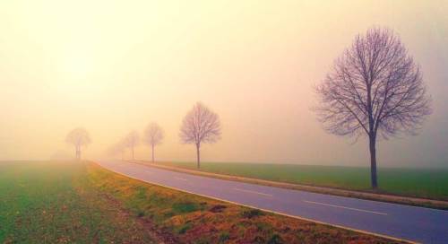 Sakarya'da hava durumu nasıl olacak? (13 Aralık 2024)