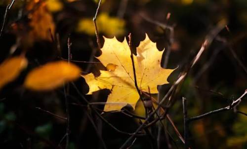 Sakarya'da hava durumu nasıl olacak? (2 Kasım 2024)