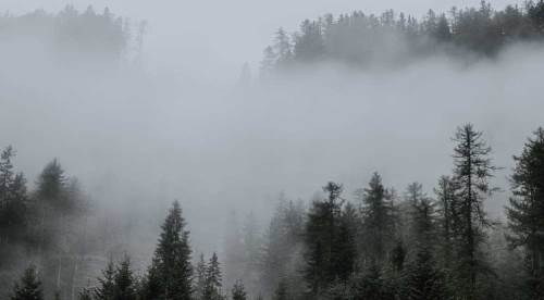 Sakarya'da hava durumu nasıl olacak? (24 Aralık 2024)