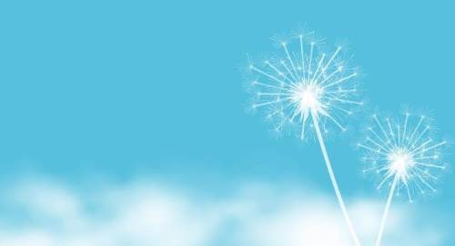 Sakarya'da hava durumu nasıl olacak? (26 Ekim 2024)