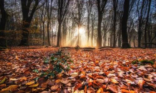 Sakarya'da hava durumu nasıl olacak? (30 Kasım 2024)