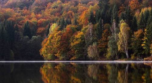 Sakarya'da hava durumu nasıl olacak? (4 Kasım 2024)