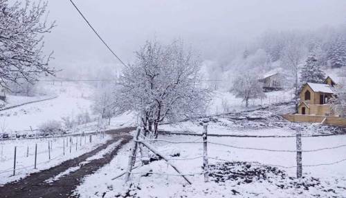 Sakarya'da kar yağışı başladı: Yüksek kesimler beyaza büründü