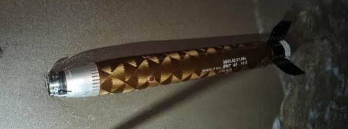 Sakarya’da sahilde bulunan şüpheli cisim herkesi şaşırttı