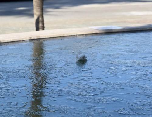 Sakarya’da soğuk hava buzlanmaya neden oldu