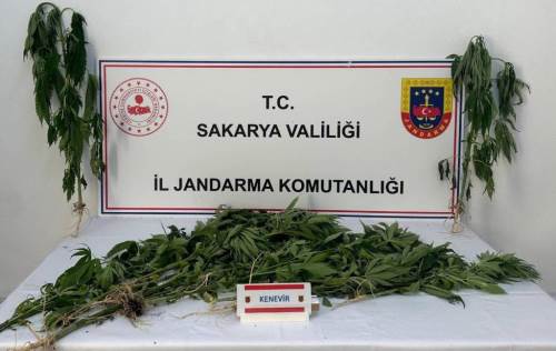 Sakarya’da uyuşturucu operasyonu: 3 kişi tutuklandı