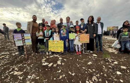 Sakarya’da yangın alanına 4 bin 500 fidan dikildi