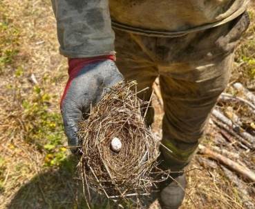 Sakarya’da yangın sırasında kuş yuvası kurtarıldı
