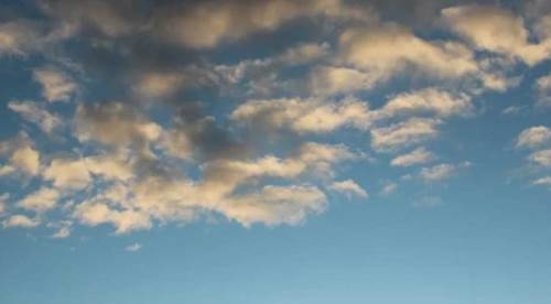 Sakarya hava durumu - 1 Temmuz 2025