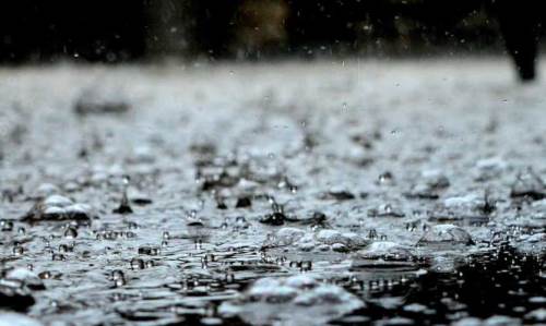 Sakarya hava durumu - 10 Nisan 2025