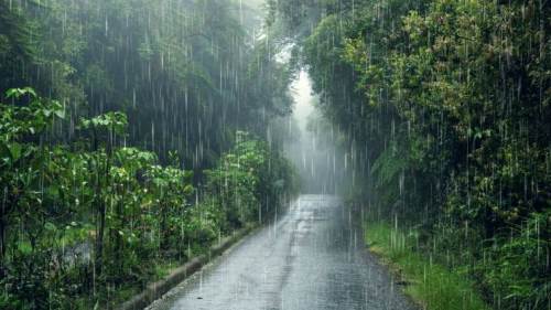 Sakarya hava durumu - 15 Şubat 2025