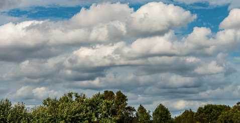 Sakarya hava durumu - 18 Temmuz 2025