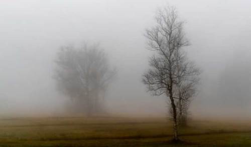 Sakarya hava durumu - 25 Şubat 2025