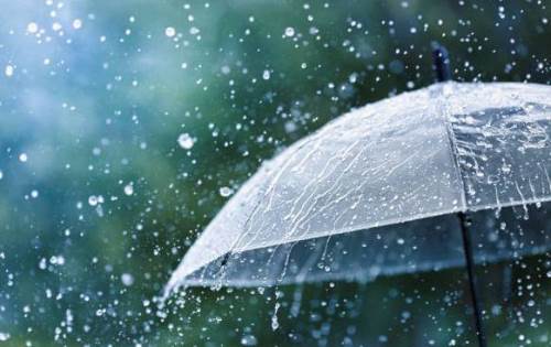 Sakarya hava durumu - 29 Mart 2025