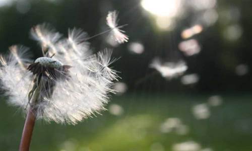 Sakarya hava durumu - 29 Nisan 2025