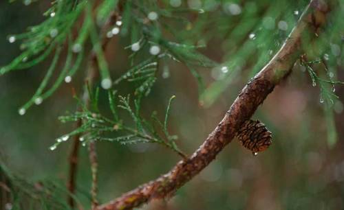 Sakarya hava durumu - 3 Nisan 2025