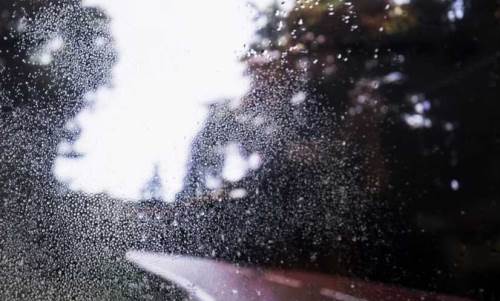 Sakarya hava durumu - 3 Şubat 2025