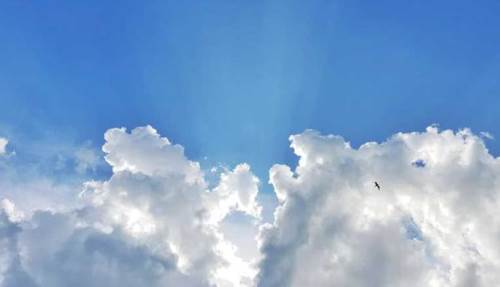 Sakarya hava durumu - 30 Temmuz 2025