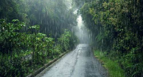 Sakarya hava durumu - 8 Şubat 2025