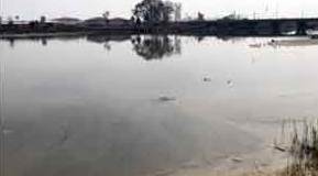 Sakarya Nehri alarm veriyor!