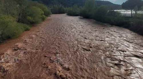 Sakarya Nehri renk değiştirdi!