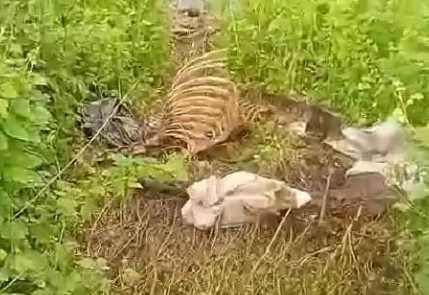 Sakarya'nın gündemine o kemikler bomba gibi düştü